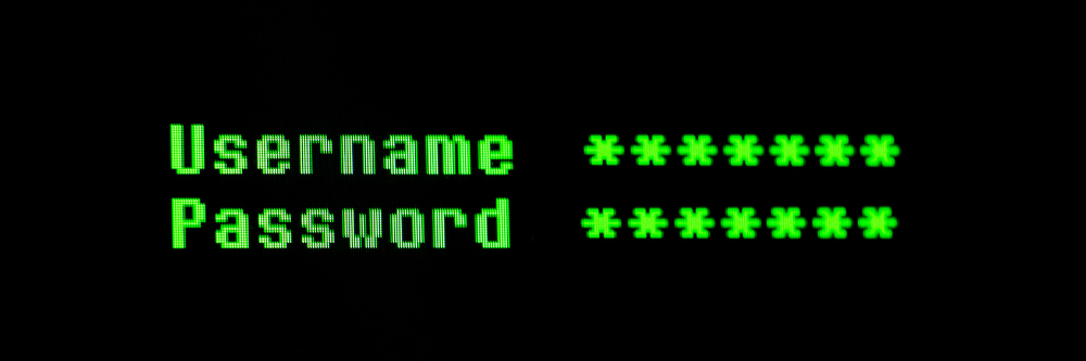 Do You Still Need a Password in a Passwordless World?